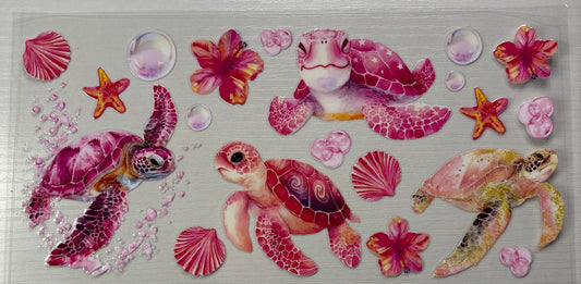 Sea Turtles & Ocean Life
