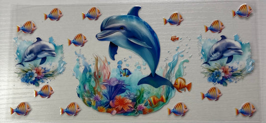 Dolphins & Tropical Fish