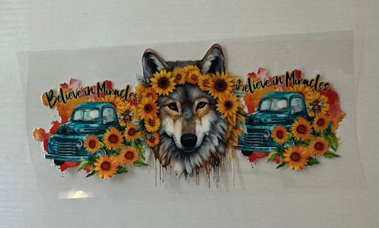 Wolf Believe in Miracles